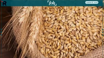 سعر الأرز.. تغيرات جديدة في طن الشعير بأسواق الأحد 21 ديسمبر 2025